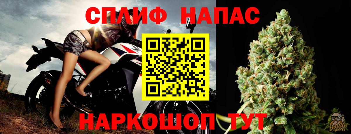 Конопля Amnesia Прокопьевск